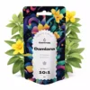 Damiana Extract 10:1 10g
