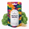 Ginkgo Biloba Extract 10g