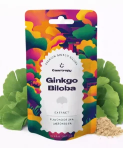 Ginkgo Biloba Extract 10g